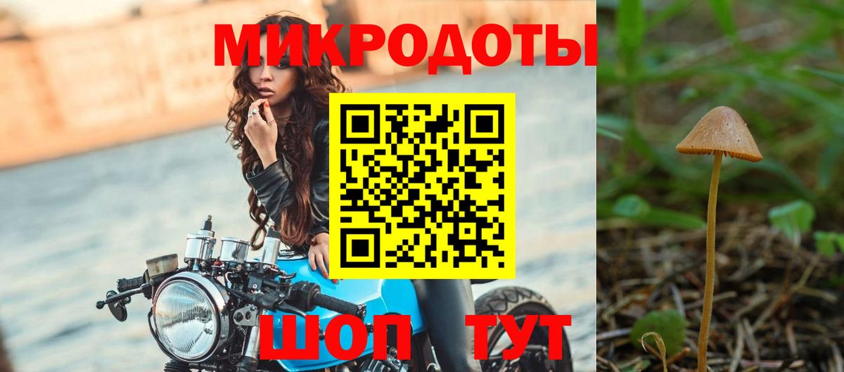 Шарыпово  Галлюциногенные грибы GOLDEN TEACHER  Вход с VPN 
